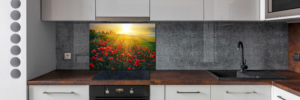 Cooker splashback Mak field