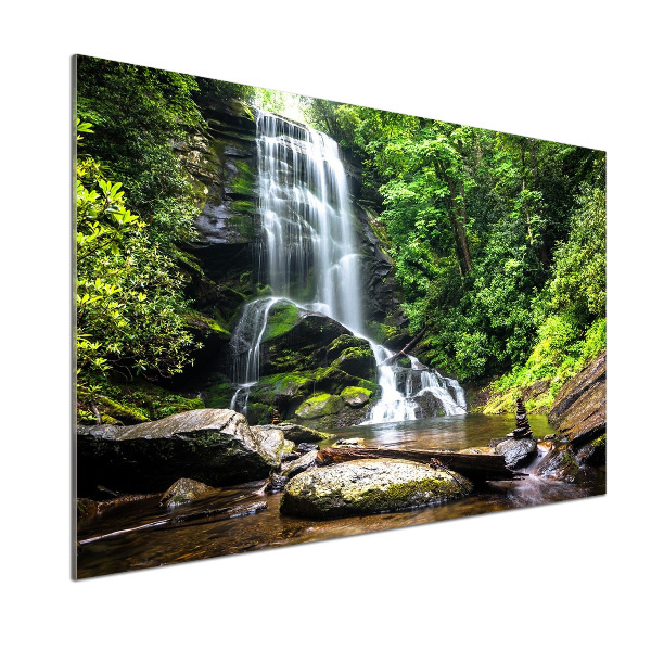 Cooker splashback Waterfall in the forest