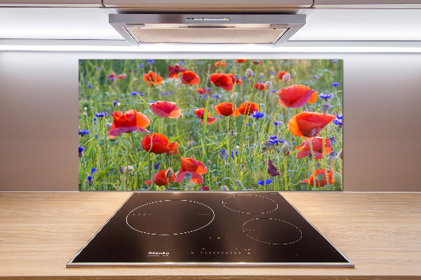 Cooker splashback Field flowers