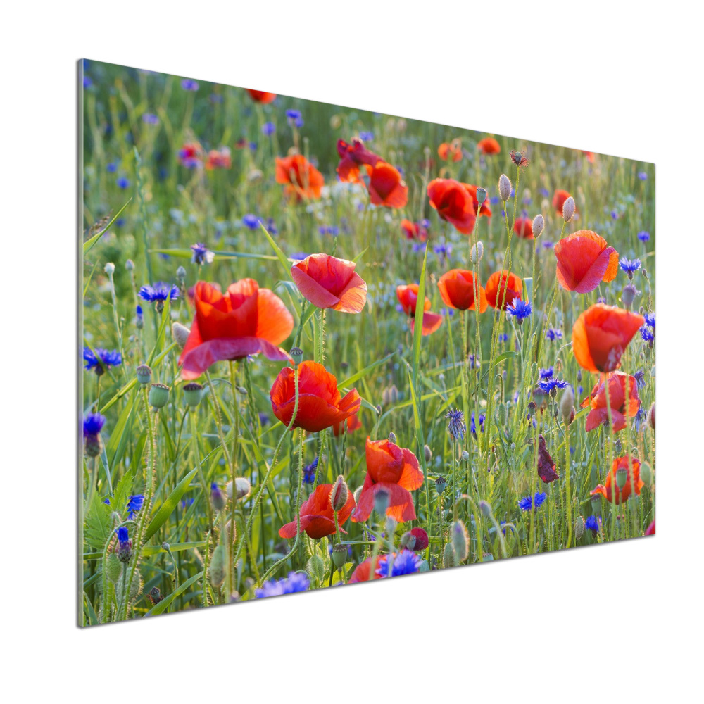 Cooker splashback Field flowers