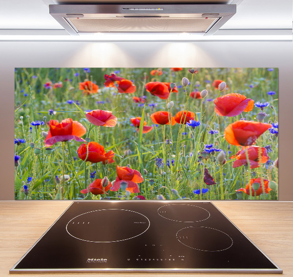 Cooker splashback Field flowers