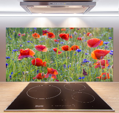 Cooker splashback Field flowers