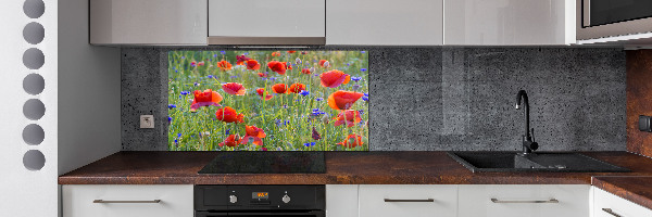 Cooker splashback Field flowers