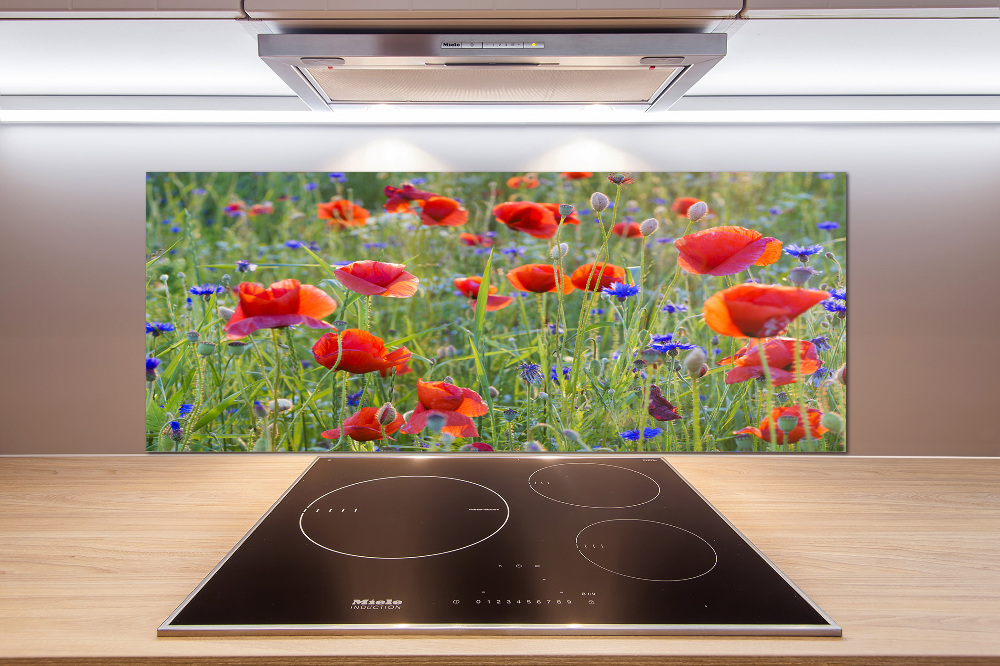 Cooker splashback Field flowers