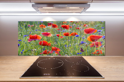 Cooker splashback Field flowers