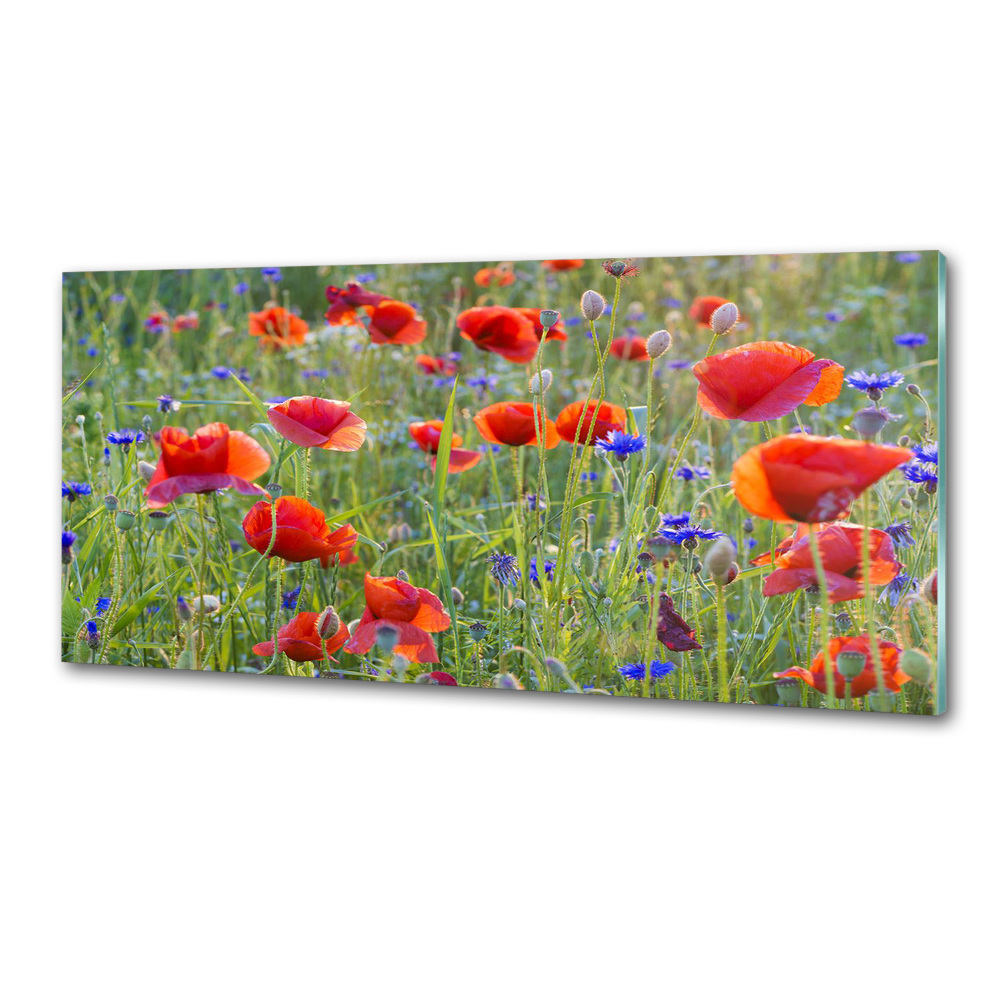 Cooker splashback Field flowers