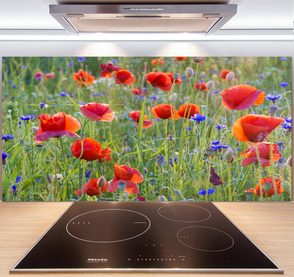 Cooker splashback Field flowers