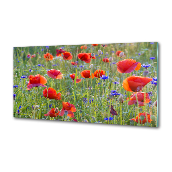 Cooker splashback Field flowers