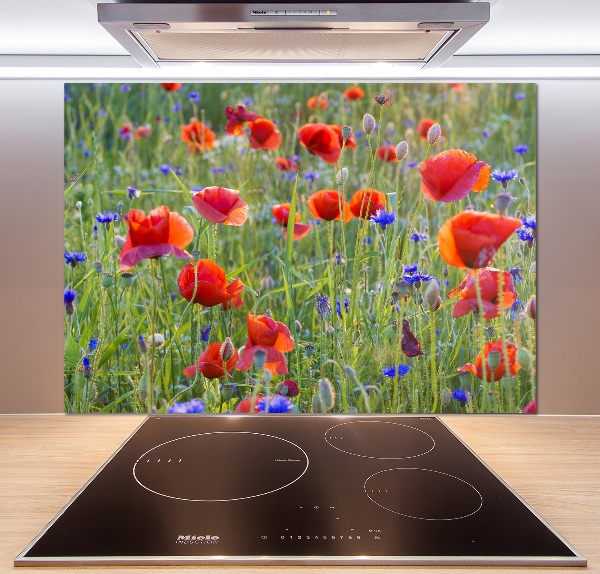 Cooker splashback Field flowers