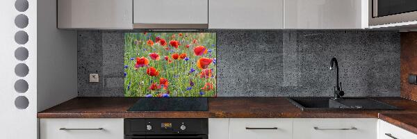 Cooker splashback Field flowers