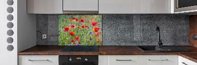 Cooker splashback Field flowers