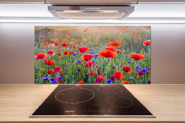 Cooker splashback Field flowers