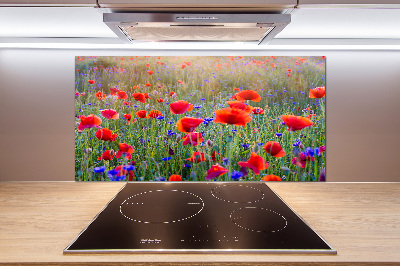 Cooker splashback Field flowers