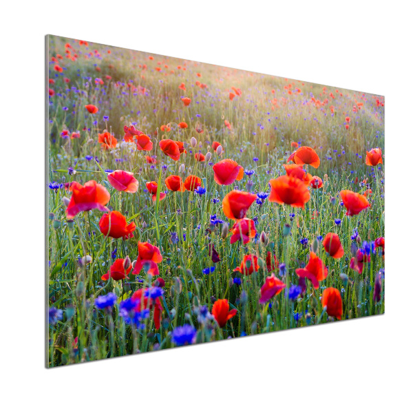 Cooker splashback Field flowers