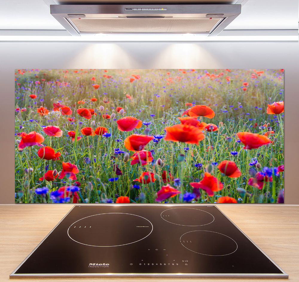 Cooker splashback Field flowers