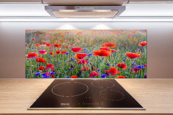 Cooker splashback Field flowers