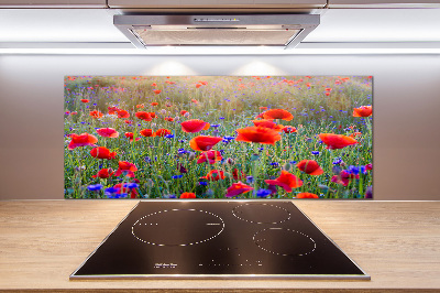 Cooker splashback Field flowers