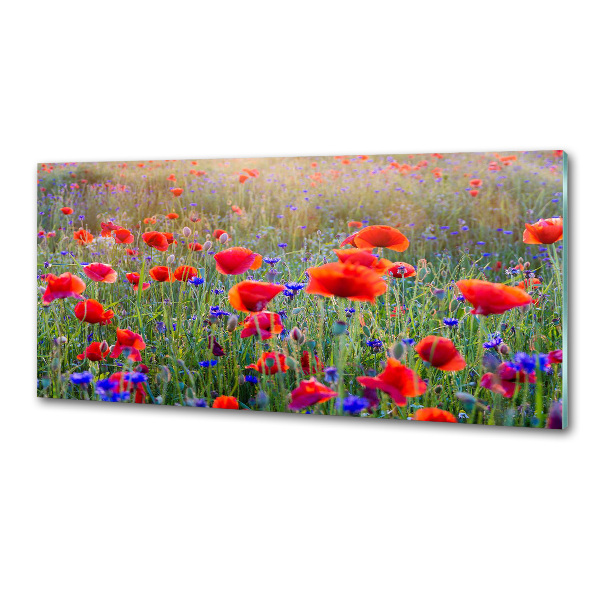 Cooker splashback Field flowers