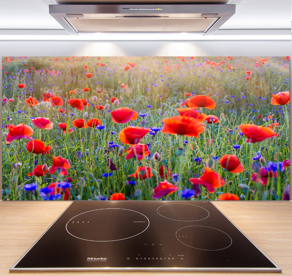 Cooker splashback Field flowers