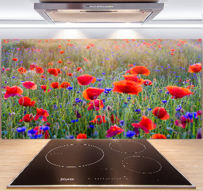 Cooker splashback Field flowers