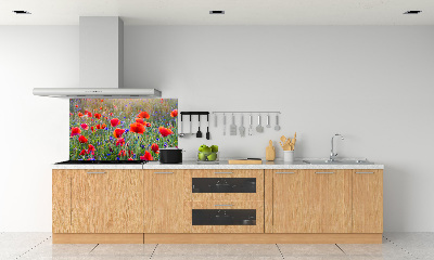 Cooker splashback Field flowers