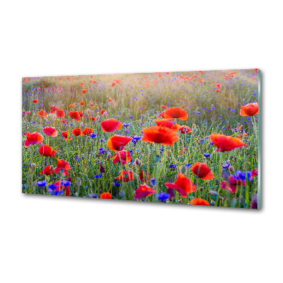 Cooker splashback Field flowers