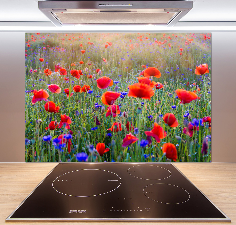 Cooker splashback Field flowers