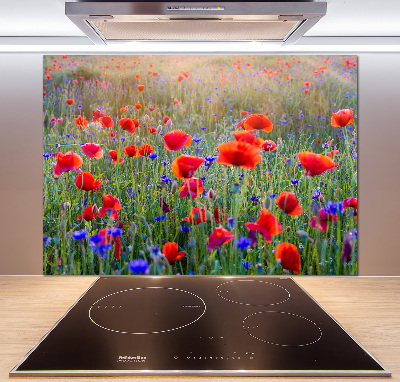 Cooker splashback Field flowers