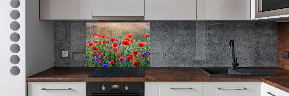 Cooker splashback Field flowers