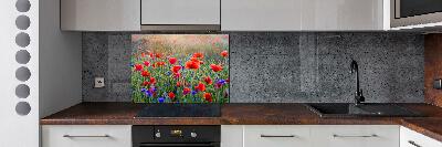 Cooker splashback Field flowers