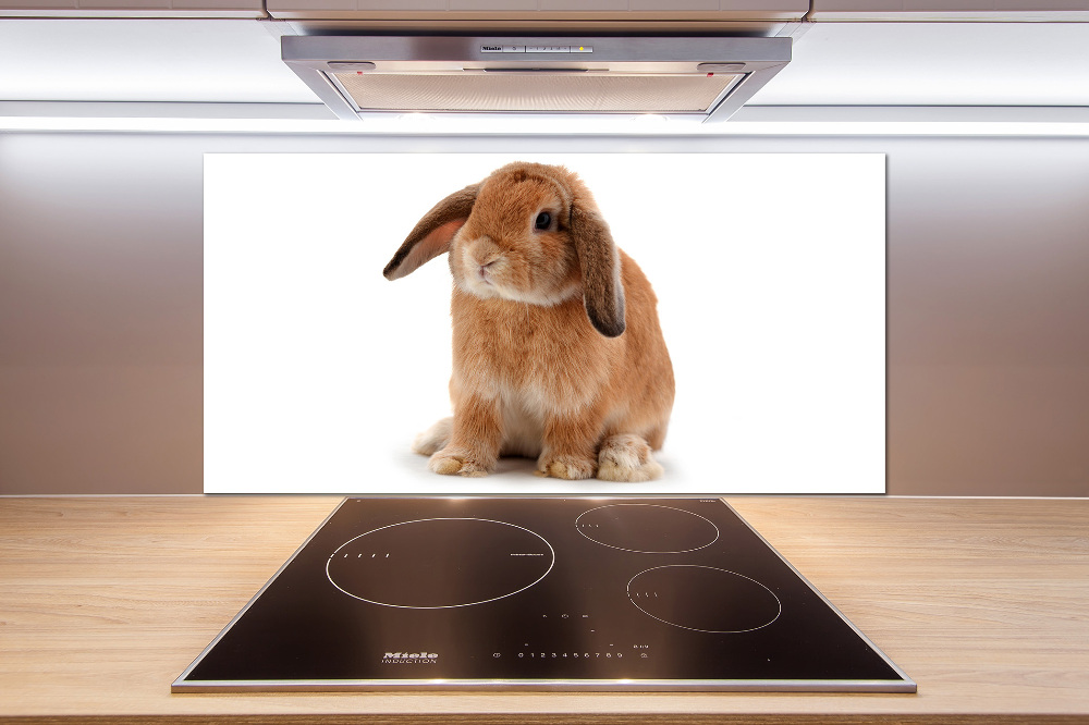 Cooker splashback Rabbit ore