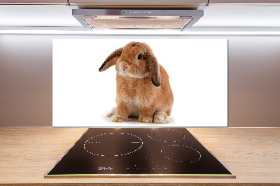 Cooker splashback Rabbit ore