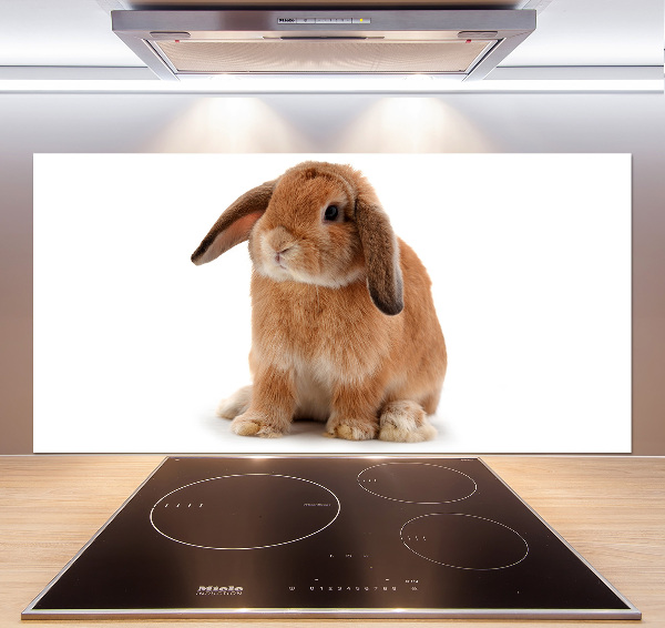 Cooker splashback Rabbit ore