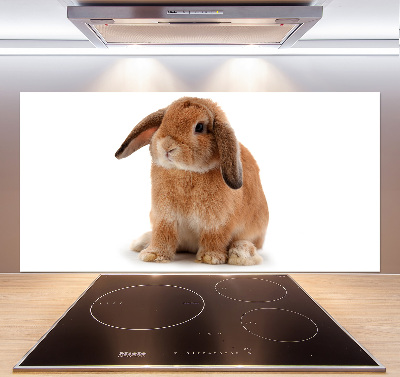 Cooker splashback Rabbit ore