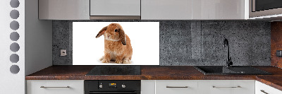 Cooker splashback Rabbit ore