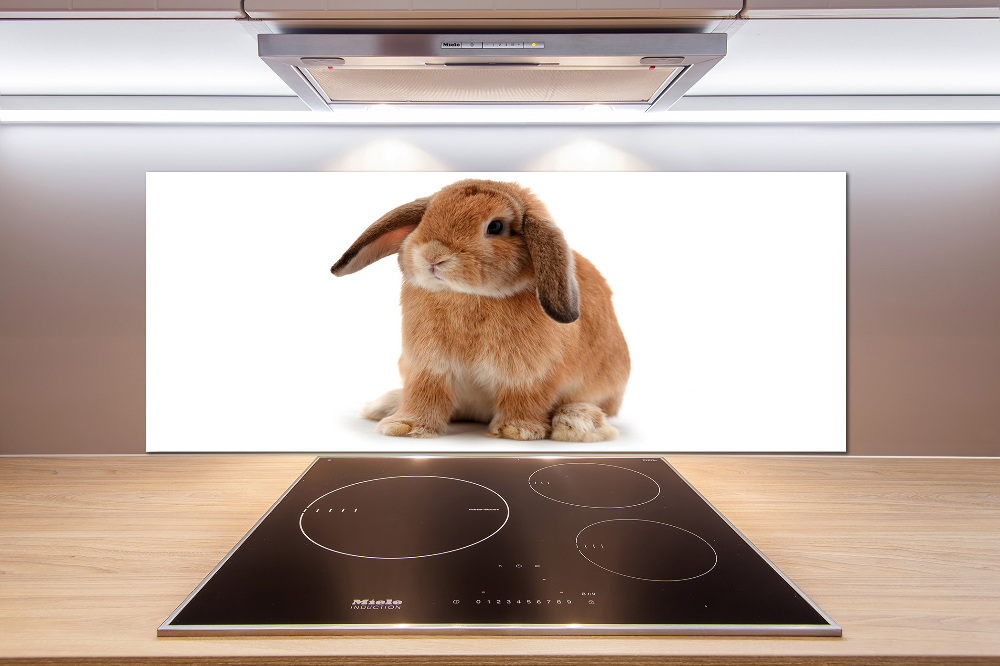 Cooker splashback Rabbit ore