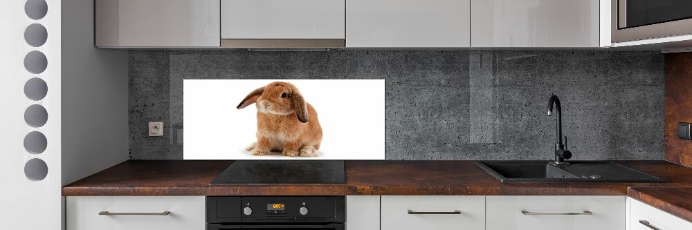 Cooker splashback Rabbit ore