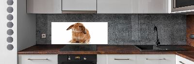 Cooker splashback Rabbit ore