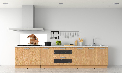 Cooker splashback Rabbit ore