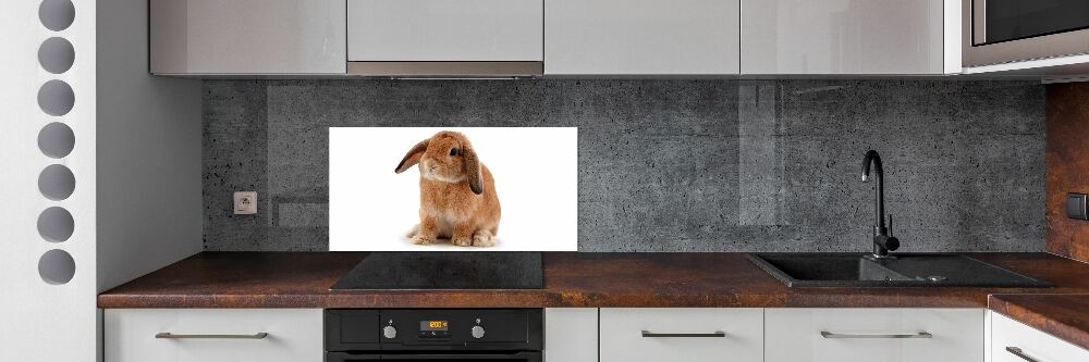 Cooker splashback Rabbit ore