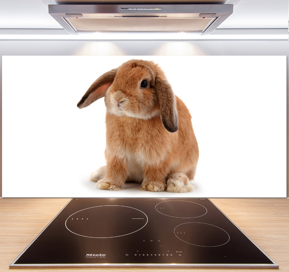 Cooker splashback Rabbit ore