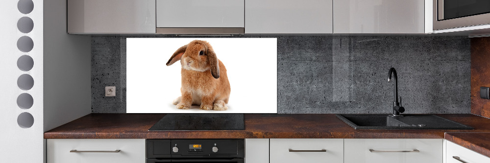 Cooker splashback Rabbit ore