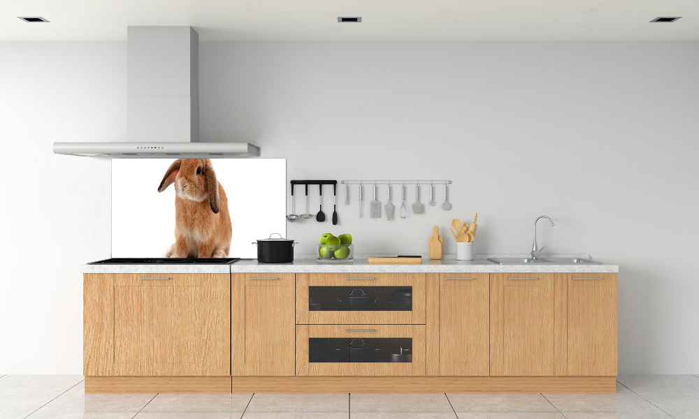 Cooker splashback Rabbit ore