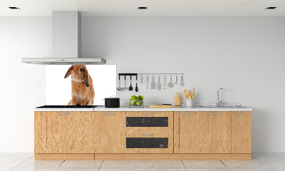 Cooker splashback Rabbit ore