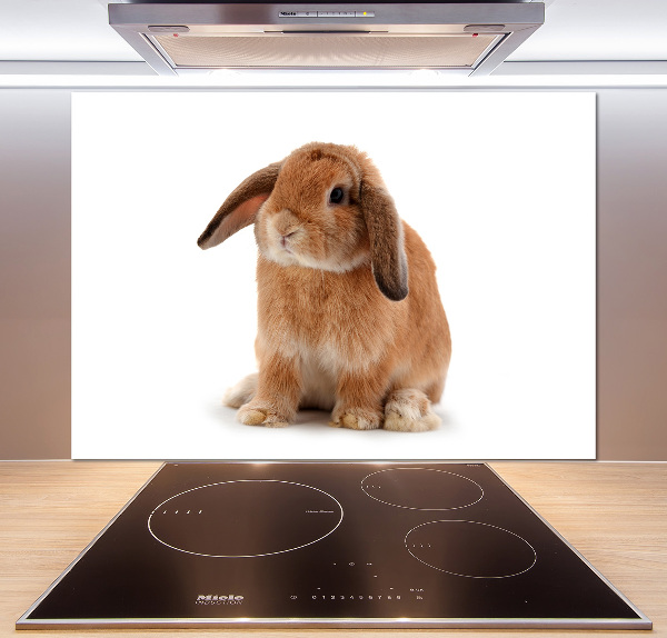 Cooker splashback Rabbit ore