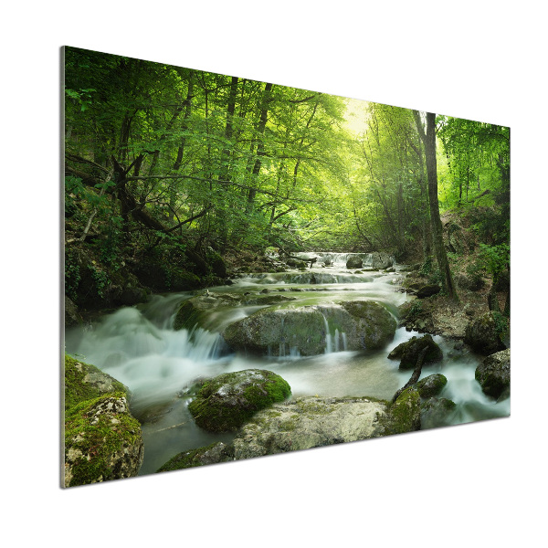 Cooker splashback Waterfall in the forest