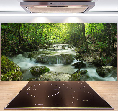 Cooker splashback Waterfall in the forest