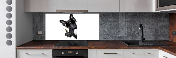 Cooker splashback Martini dog