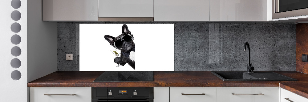 Cooker splashback Martini dog