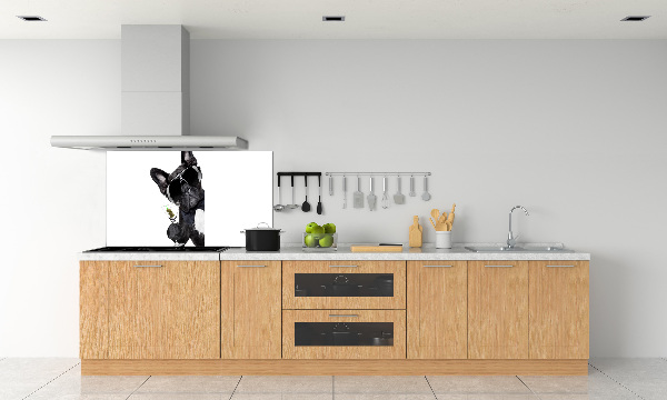 Cooker splashback Martini dog